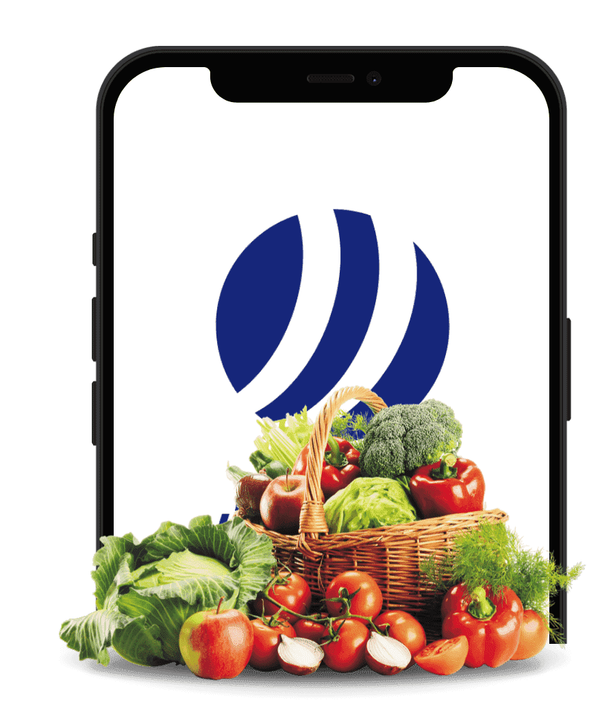  Software Development Services