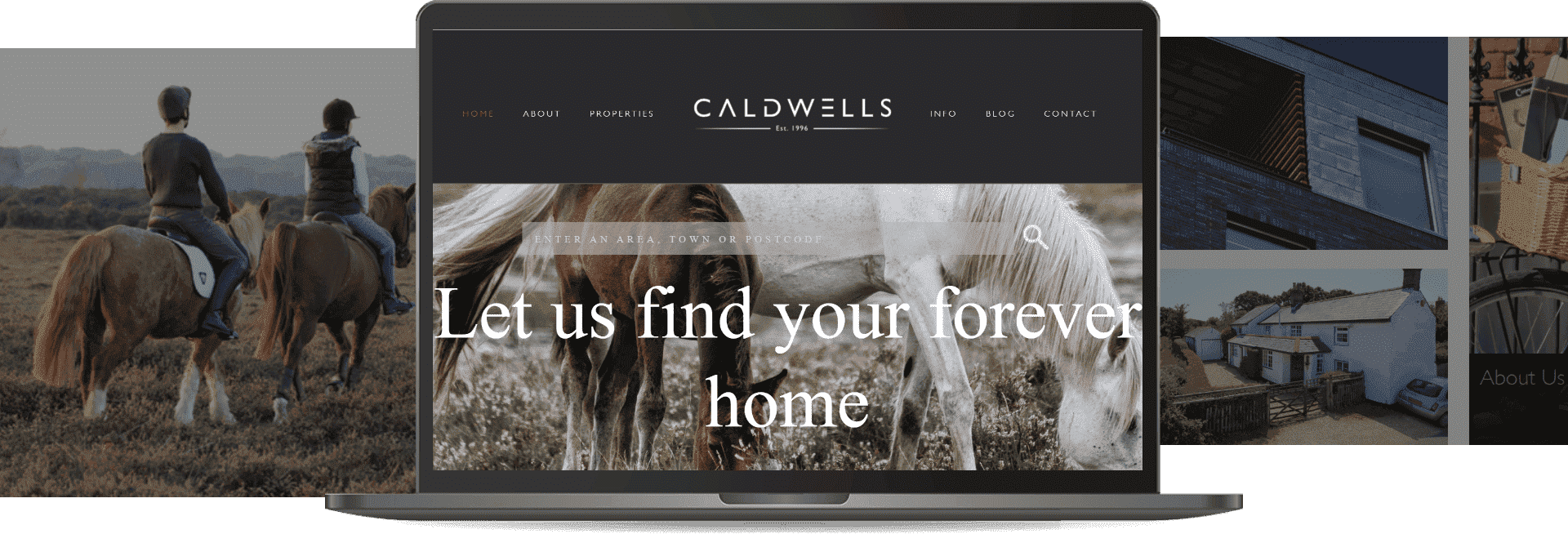  Software Development Services