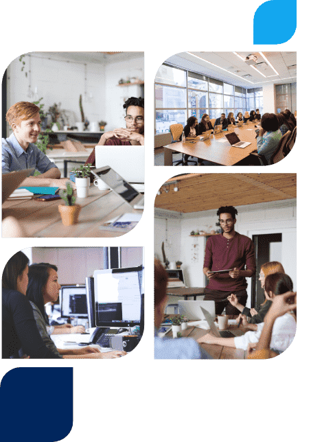  Software Development Services