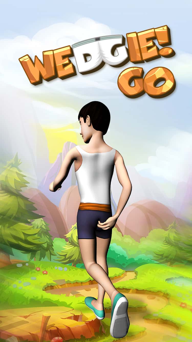  Software Development Services