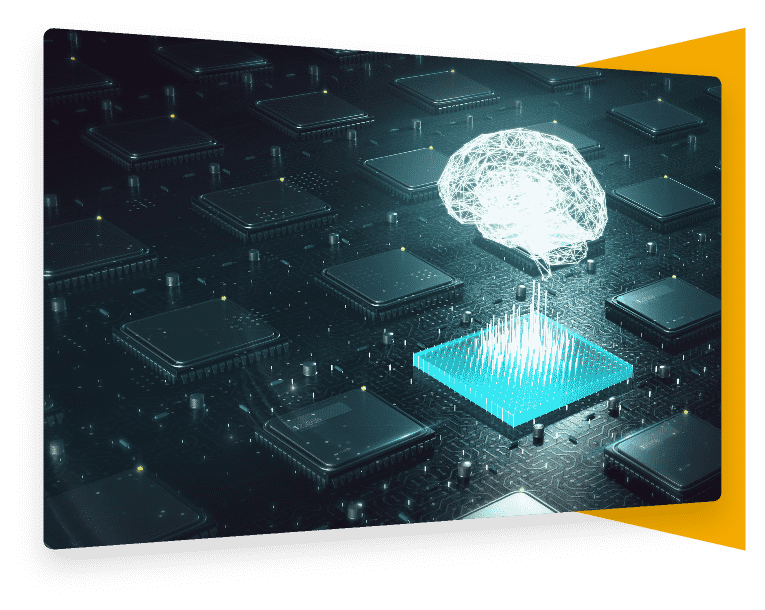  Software Development Services