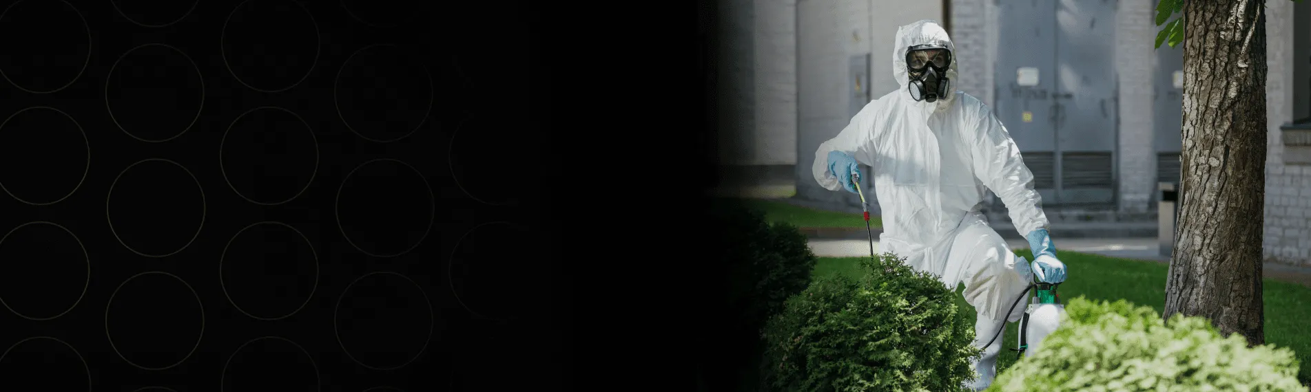 Pest Control App Development Company