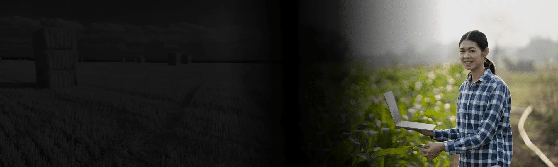 AgTech Software Development