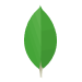 MongoDB