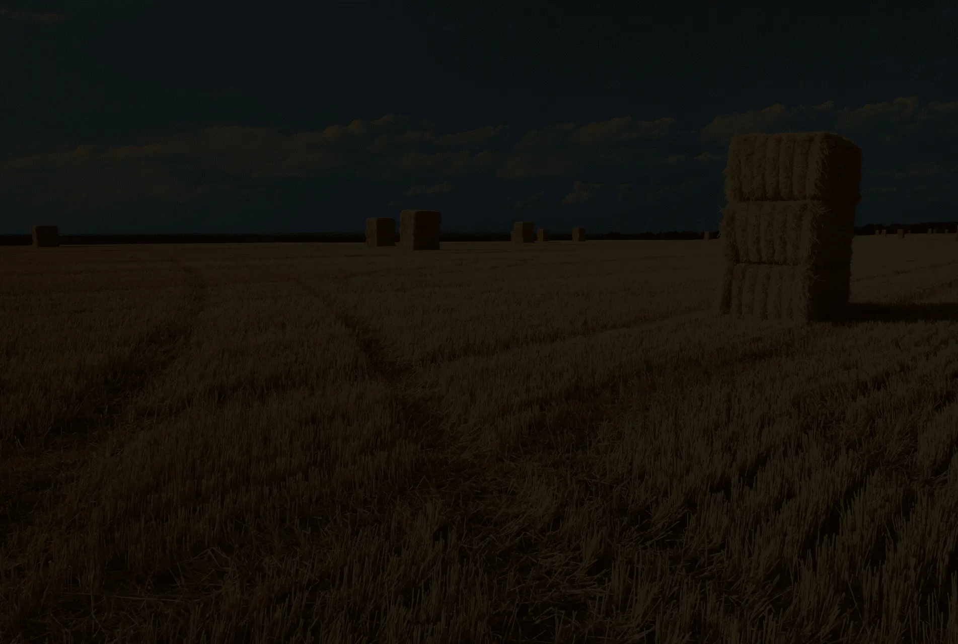 AgTech Software Development Company